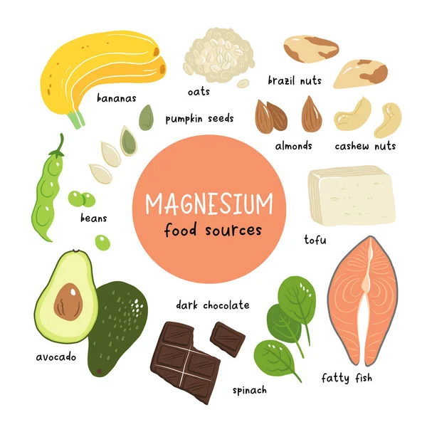 Illustrasjon Vektormasse Magnesium Næringsmidler Med Høyt Innhold Mineraler Fettfisk Tofu – stockvektor