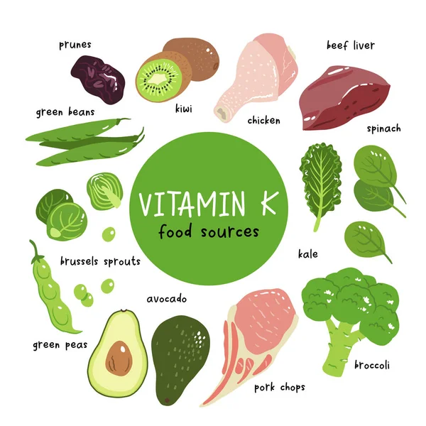 Illustrasjon Vitamin Vektorbestand Næringsmidler Med Høyt Innhold Vitamin Svisker Lever – stockvektor