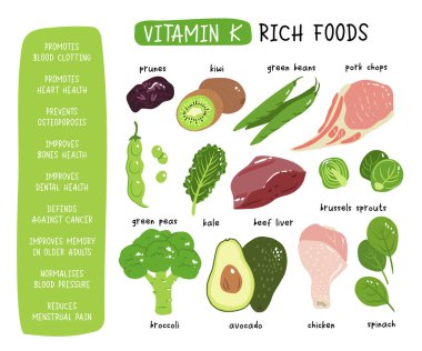 K vitamini stok çizimi. Yüksek içerikli k1 ve k2 vitamini içeren gıda ürünleri. Kuru erik, karaciğer, domuz pirzolası, brokoli, yeşil fasulye ve bezelye, lahana, ıspanak ve Brüksel lahanası..