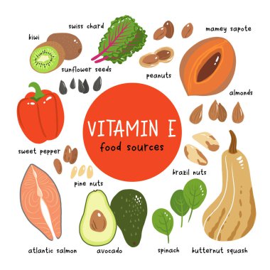 E vitamini vektör stok çizimi. Yüksek oranda tocopherol içeren gıda ürünleri. kivi, mamey sapote, swiss chard, kırmızı tatlı biber, avokado, tereyağı ezmesi, fındık ezmesi, fıstık, somon