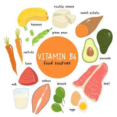Vitamin b6 vektör stok illüstrasyonu. Yüksek içerikli b6 vitamini içeren gıda ürünleri. tatlı patates, ricotta peyniri, süt, somon, ton balığı, avokado, ıspanak, yumurta, havuç, sığır eti, taze bezelye. muz