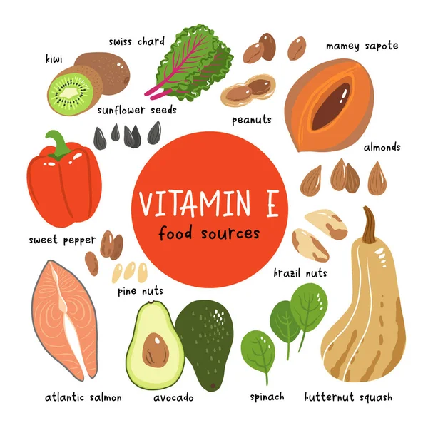 Illustrasjon Vektorbestanden Til Vitamin Næringsmidler Med Høyt Innhold Tokoferol Kiwi – stockvektor