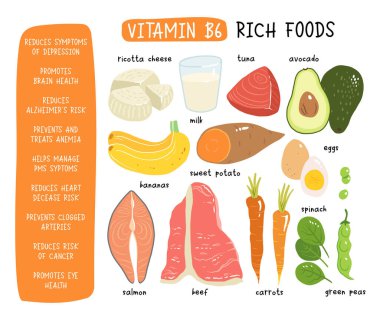 Vitamin b6 vektör stok illüstrasyonu. Yüksek içerikli b6 vitamini içeren gıda ürünleri. tatlı patates, ricotta peyniri, süt, somon, ton balığı, avokado, ıspanak, yumurta, havuç, sığır eti, taze bezelye. muz