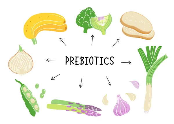 Prebiotiske Produkter Kilder Til Disse Bakteriene Næringsrik Mat Flate Vektorillustrasjoner – stockvektor