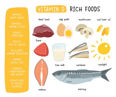 D vitamini kaynakları koleksiyonu. Kolesistektomi ile zenginleştirilmiş yiyecek. Süt ürünleri, balık, mantar ve yumurta. Diyet organik beslenme. Düz vektör karikatür çizimi beyaza izole edildi