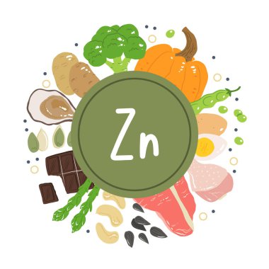 Çinko gıda kaynakları vektör stok çizimi. Yüksek oranda çinko içerikli gıda ürünleri. İstiridye, kabak çekirdeği, ayçekirdeği, yumurta, kuşkonmaz, sığır eti, tavuk, kaju fıstığı. Bilgi posteri.
