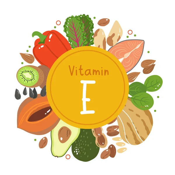 Vitamina Vector Stock Ilustración Productos Alimenticios Con Alto Contenido Tocoferol — Vector de stock