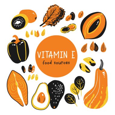 E vitamini vektör stok çizimi. Yüksek oranda tocopherol içeren gıda ürünleri. kivi, mamey sapote, swiss chard, kırmızı tatlı biber, avokado, tereyağı ezmesi, fındık ezmesi, fıstık, somon
