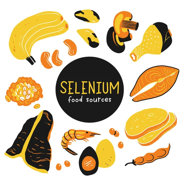 Selenium Vector Stock Illustration 약자이다 광물질 제품이다 브라질너트 포스터 로열티 프리 스톡 일러스트레이션
