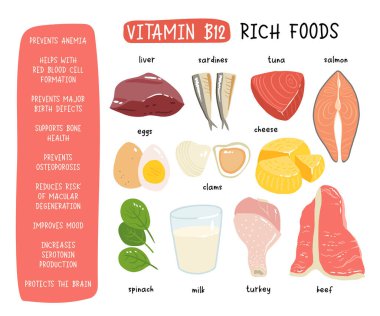 B12 vitamini koleksiyonu. Peynir, yumurta, midye, sığır eti, hindi, süt, ciğer, ıspanak, sardalya, ton balığı, somon. Diyet ürünleri, organik doğal beslenme. Düz vektör karikatür çizimi