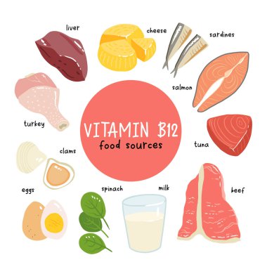 B12 vitamini koleksiyonu. Peynir, yumurta, midye, sığır eti, hindi, süt, ciğer, ıspanak, sardalya, ton balığı, somon. Diyet ürünleri, organik doğal beslenme. Düz vektör karikatür çizimi