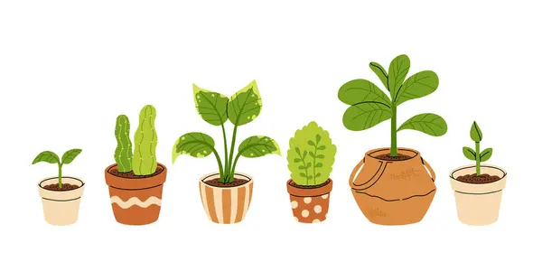 Vektorkészlet Kertészeti Edények Növények Fazekakban Elszigetelt Fehér Alapon Egy Csomag — Stock Vector