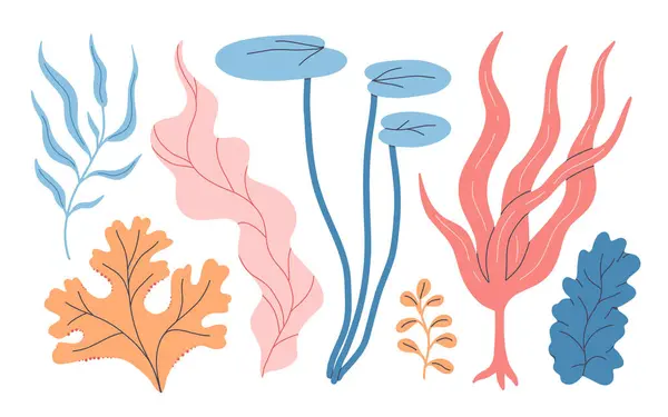Algen Aquarienpflanzen Unterwasserbepflanzung Vektor Algen Silhouette Isoliert Set Illustration Von lizenzfreie Stockvektoren