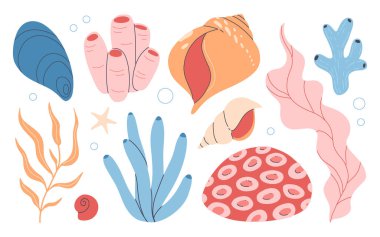 Bir dizi sualtı okyanus mercan resifi bitkileri, mercanlar, deniz şakayıkları ve deniz kabukları. Akvaryum yosunları, tropikal mercan resif elementleri. Deniz yosunları, deniz yosunları, süngerler, martılar ve yumuşakçalar..