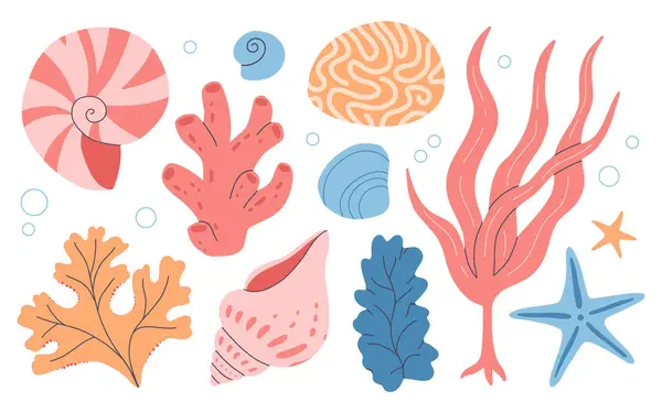 一组水下海洋珊瑚礁植物 海葵和贝壳 水草和水族海藻 热带珊瑚礁元素 海洋藻类 海洋野生动物 海草和软体动物壳 矢量图形