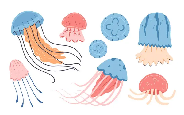 Set Various Cartoon Jellyfish Flat Style Medusa Vector Illustration Modern Vetores De Bancos De Imagens