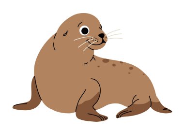 Beyaz arka planda deniz aslanının vektör çizimleri. Deniz aslanının düz şirin ikonu. Su altı dünyası, okyanus, sualtı sakinleri.