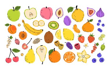 Elle çizilmiş meyve karalamalarıyla ayarlanmış. Düz tropikal muz, elma, armut, şeftali, çilek, limon, kiraz, incir, ayva, yıldız meyvesi ve biraz böğürtlen. Dut, ahududu, çilek