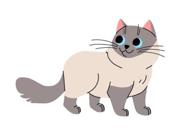 Şirin kedi konsepti. Sevimli yerli balerin hayvan yürüyüşü. Yumuşak siyam evcil hayvanı. Güzel kedi yavrusu ayakta duruyor. Çizgi film düz vektör çizimi beyaz arkaplanda izole edildi