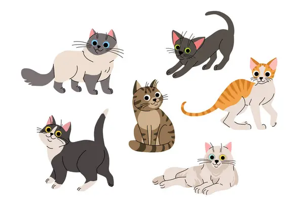 stock vector Cute cartoon cat set. Adorable domestic cats sitting, standing. Fluffy birman, black oriental, orange tabby cornish rex, black and white and grey. Lovely kitten flat vector collection.