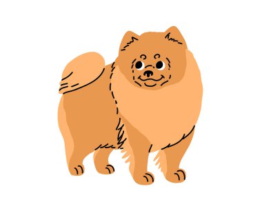 Çizgi film köpeği hareket halinde. Farklı köpek türleri. Aktif köpek yavruları doberman, dalmaçyalı, Pomeranian, Sheltie, İtalyan tazı, Yorkshire Teriyeri, Corgi. Düz vektör illüstrasyonu