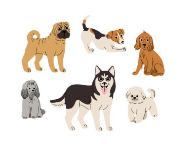 Çizgi film köpekleri hareket halinde. Farklı köpek türleri. Aktif köpek yavruları Sibirya kurdu, Jack Russell Terrier, Cocker Spaniel, Minyatür Fino, Shar Pei, Bisshon Frize. Düz vektör illüstrasyonu