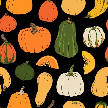 Siyah arkaplanda izole edilmiş farklı kabak kabağı vektörsüz desen türleri. Çeşitli sonbahar balkabakları düz bir şekilde çizilmiş büyük bir koleksiyon eli. Şükran Günü Cadılar Bayramı şirin illüstrasyon