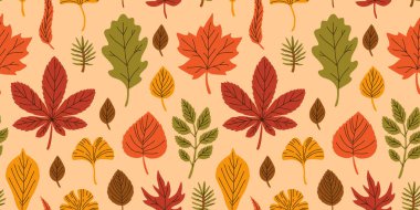 Çizgi film sonbahar yapraklarının kusursuz deseni. Kırmızı, sarı, turuncu ve yeşil ağaç yapraklarının şirin düz çizimi. Akçaağaç, meşe, ginkgo, huş ağacı ve diğerleri..