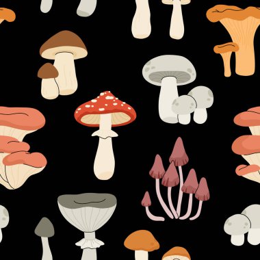 Çizgi film yenilebilir ve zehirli mantarlar, sonbahar orman bitkileri. Mevsimlik mantar yiyeceği, chanterelle, Champignon ve amanita düz vektör deseni. Doğal organik mantarlar.