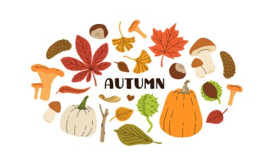 Sonbaharda yapraklar, mantarlar, böğürtlenler, tohumlar ve meşe palamudu içeren bir vektör çizdim. Sonbahar hediyeleri dekoratif etiket, çıkartma, kart. Sonbahar tasarlanmış çerçeve.