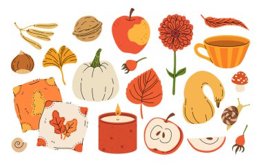 Hoş sonbahar öğeleri, mumlar, çay fincanı, balkabağı, sıcak kıyafetler, battaniye ve eşarp. El çizimi sonbahar tasarım elementi, yapraklı meşe palamudu, mantar ve böğürtlen, rahat karalama etiketi seti