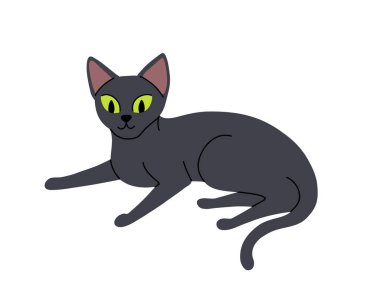 Çeşitli pozlardaki düz çizgi film karakterleri beyaz arka planda izole edilmiş. Oturan, ayakta, dinlenen, oynayan kedilerin vektör koleksiyonu.