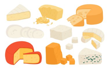 Çeşitli peynir çeşitleri gerçekçi vektör çizimi. Beyaz arka planda izole edilmiş süzme peynir koleksiyonu. Tasarım, tarif kitabı, reklam veya restoran menüsü için Curd ürünü