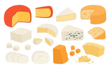 Çeşitli peynir çeşitleri gerçekçi vektör çizimi. Beyaz arka planda izole edilmiş süzme peynir koleksiyonu. Tasarım, tarif kitabı, reklam veya restoran menüsü için Curd ürünü