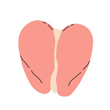 Tavuk eti parçası seti, et parçası, göğüs eti kanadı, fileto, bacak, kalp, boyun, ayak, tüm tavuk. Beyaz arkaplandaki vektör Resimleri