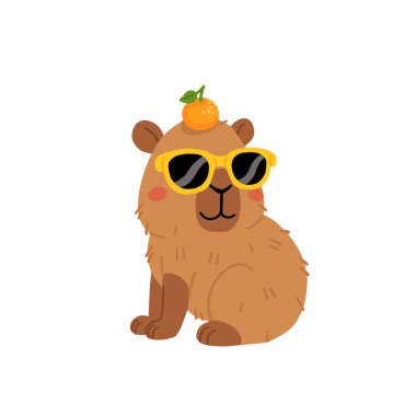 Tatlı Capybara ve turunçgiller. Mandalina ya da mandalinalı güneş gözlüklü komik kemirgen. Sevimli bir hayvan karakteri. Vektör illüstrasyonu beyaz arkaplanda izole edildi