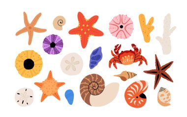 Deniz kabuğu vektörü ayarlandı. Düz çizgi film koleksiyonu, yumuşakça deniz kabukları, denizyıldızı, deniz kestanesi, yengeç, mercan. Suyun altındaki son moda mercan resifi beyaza izole edilmiş.