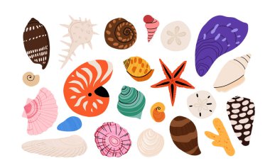 Deniz kabuğu vektörü ayarlandı. Düz çizgi film koleksiyonu, yumuşakça deniz kabukları, denizyıldızı, deniz kestanesi, yengeç, mercan. Suyun altındaki son moda mercan resifi beyaza izole edilmiş.