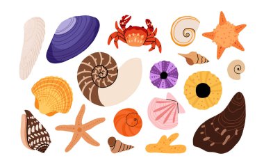 Deniz kabuğu vektörü ayarlandı. Düz çizgi film koleksiyonu, yumuşakça deniz kabukları, denizyıldızı, deniz kestanesi, yengeç, mercan. Suyun altındaki son moda mercan resifi beyaza izole edilmiş.