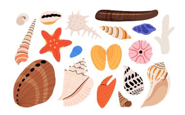 Deniz kabuğu vektörü ayarlandı. Düz çizgi film koleksiyonu, yumuşakça deniz kabukları, denizyıldızı, deniz kestanesi, yengeç, mercan. Suyun altındaki son moda mercan resifi beyaza izole edilmiş.