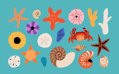 Deniz kabuğu vektörü ayarlandı. Düz çizgi film koleksiyonu, yumuşakça deniz kabukları, denizyıldızı, deniz kestanesi, yengeç, mercan. Suyun altındaki son moda mercan resifi beyaza izole edilmiş.