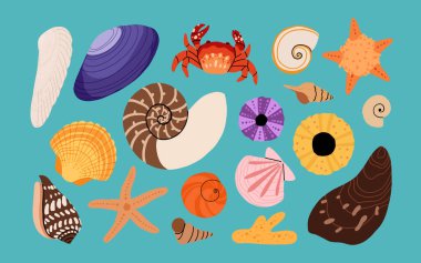 Deniz kabuğu vektörü ayarlandı. Düz çizgi film koleksiyonu, yumuşakça deniz kabukları, denizyıldızı, deniz kestanesi, yengeç, mercan. Suyun altındaki son moda mercan resifi beyaza izole edilmiş.