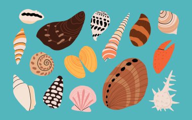 Deniz kabuğu çizgi film seti. Okyanus egzotik deniz kabuğu deniz kabuğu yumuşakçaları, deniz sarmalı salyangoz koleksiyonu. Tropik deniz kabukları. Beyaz arka planda modern düz stil izole edilmiş. Vektör illüstrasyonu