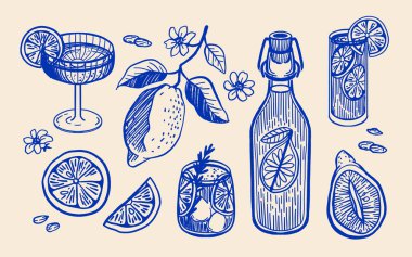 Elle çizilmiş çizim vektörü limon, narenciye kokteyli ve klasik Akdeniz usulü limonçello şişesiyle ayarlanmış. İtalyan yaz yemeği ve içeceği illüstrasyon, dolce vita koleksiyonu.