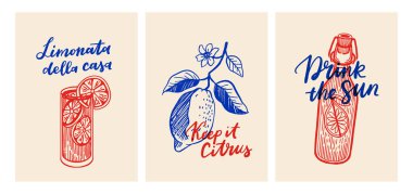 Limoncello Şişe ve Mavi El Mektupları ile Limoncello Posterleri İtalyan Stili Retro Yaz Yazı Baskısı Koruyun Citrus, Güneşi İç, Limonata della Casa