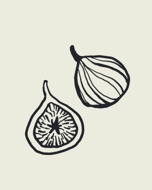 Dolce vita tarzında el çizimi çizimi çizim vektörü ve yarı yarıya incir meyvesi, Akdeniz yaz yemeği