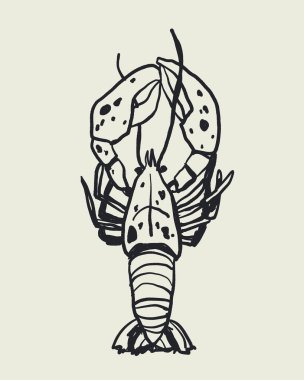 Akdeniz Dolce Vita tarzında büyük benekli ıstakozun el çizimi çizimi çizim vektörü