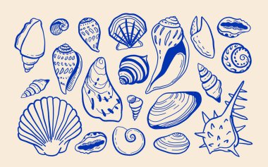 Akdeniz kabuklarının vektör seti dolce vita stili, bej mavisi, klasik el yapımı görünüm, yengeç pençesi, istiridye, deniz kabuğu, deniz kabuğu, kıyı yaz estetiği, en az illüstrasyon