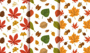 Meşe palamudu, kestane ağacı, sonbahar meşesi, akçaağaç ve turuncu, kırmızı, kahverengi ve sarı diğer yapraklı dikişsiz desenler. Duvar kağıdı, hediye kağıdı, sonbahar tebrik kartları için mükemmel..