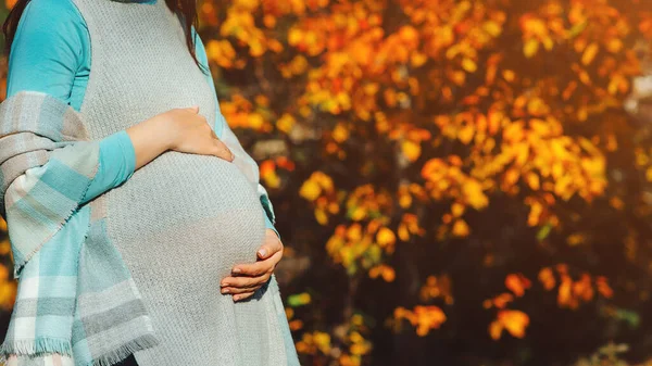 Een Vrouw Met Een Gelukkige Zwangerschap Zwangere Vrouw Buik Herfst — Stockfoto